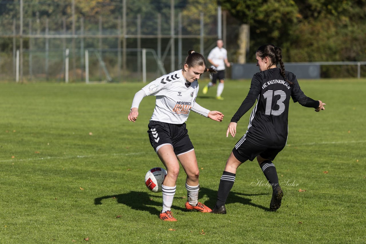 Bild 432 - F SV Henstedt Ulzburg2 - FSG Kaki-StuSie : Ergebnis: 2:2